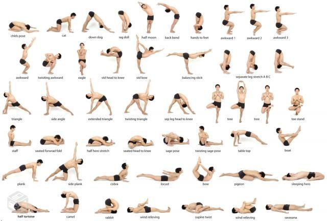 Sequências de Yoga para Iniciantes - Sequências Fundamentais para