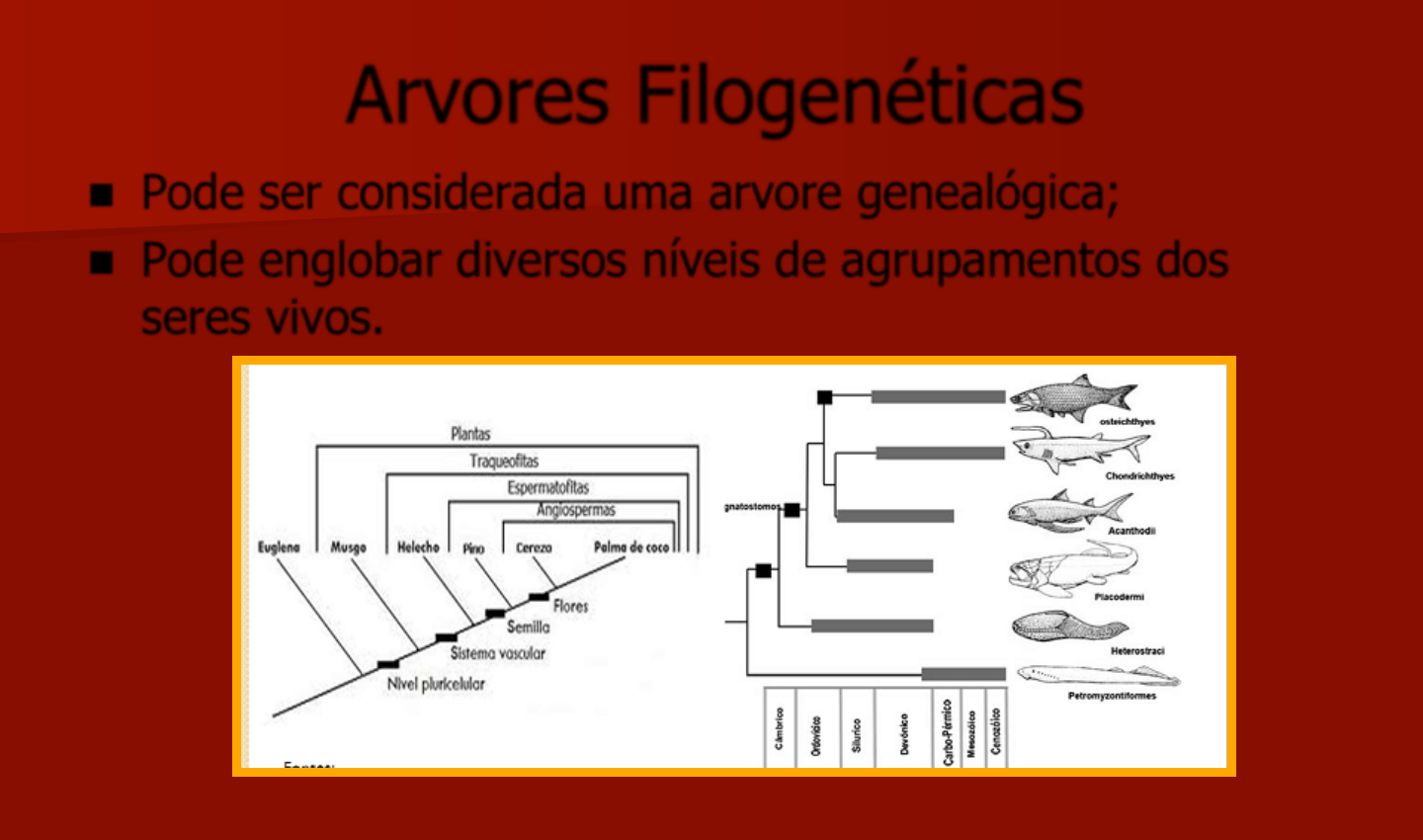 Modulo VIII: Características y Importancia de Liliopsida en Angiospermas -  Studocu, image size:1440x850