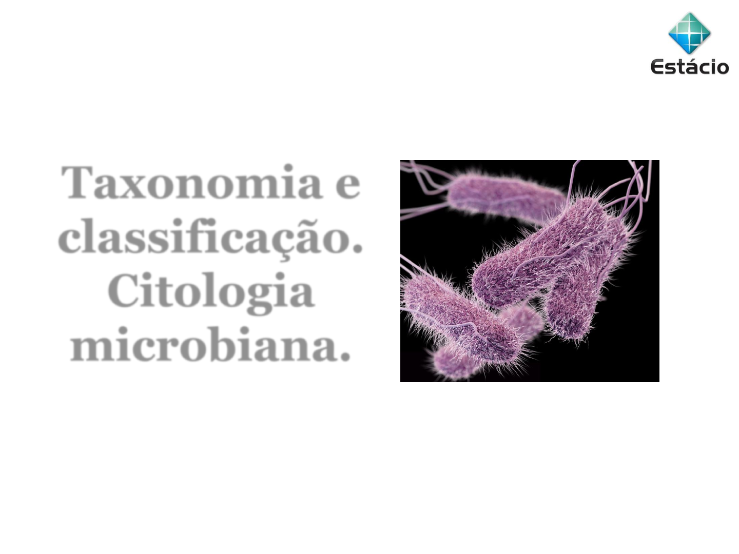 Grátis: AULA 02 - Taxonomia e classificação. Citologia microbiana. -  Material Claro e Objetivo em PDF para Estudo Rápido