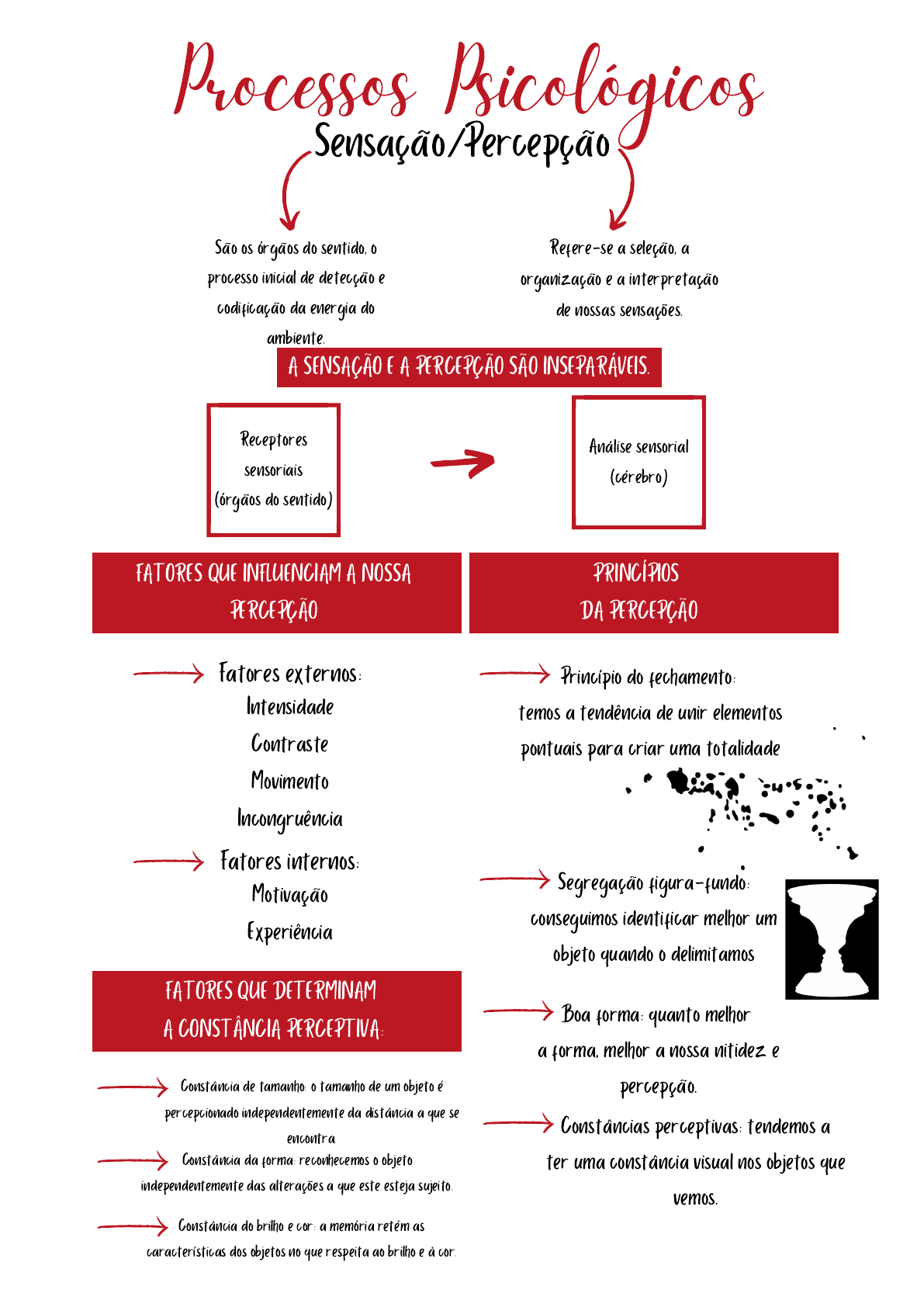 Princípios de psicologia geral (Volume III - Sensação e percepção