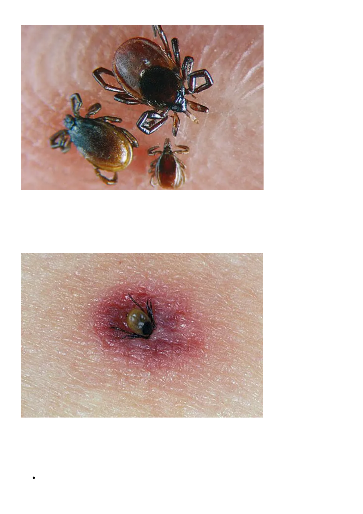 The Commonwealth of Massachusetts, image size:1190x1684