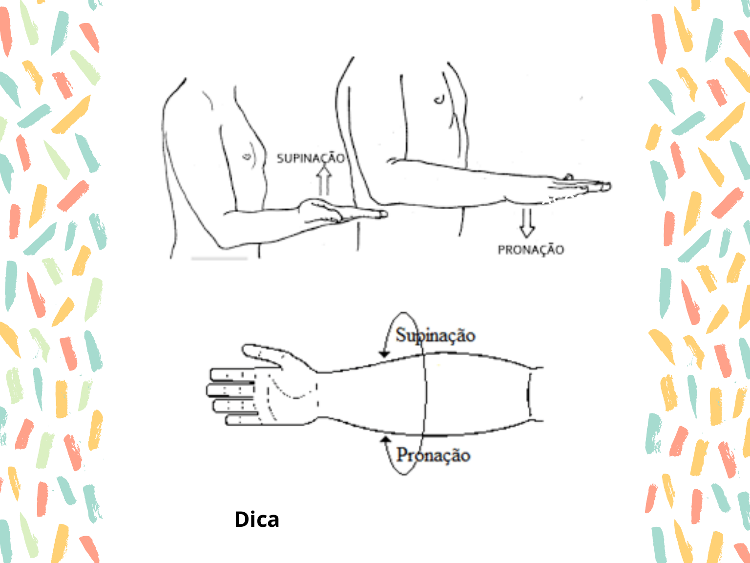 Exercicios De Pronacao E Supinacao O Que Melhor Eleva es Com As exercicios-de-pronacao-e-supinacao-o-que-melhor-eleva-es-com-as
