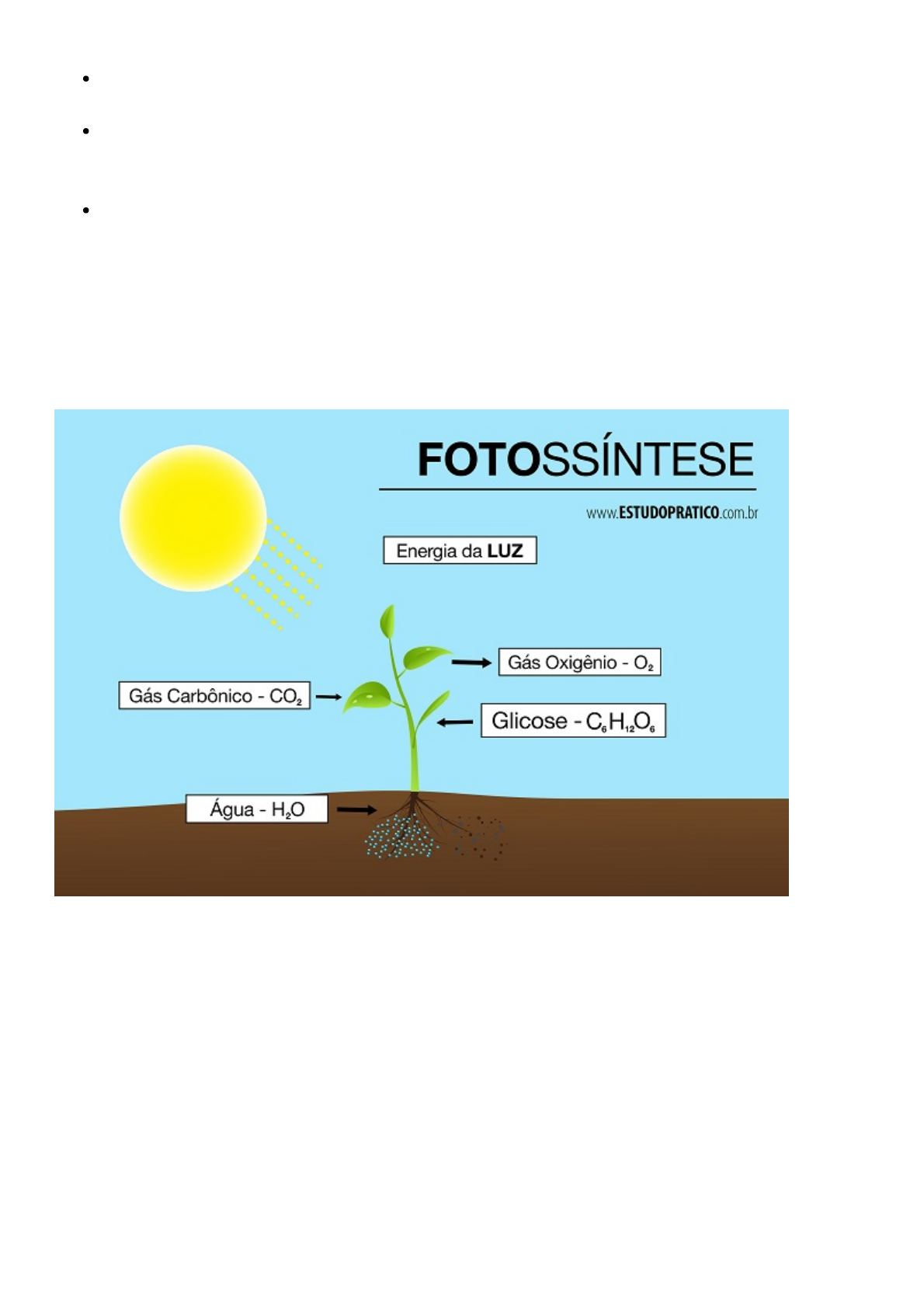Grátis: Fotossíntese - Introdução à Fotossíntese - Material Claro e  Objetivo em PDF para Estudo Rápido, image size:1190x1684