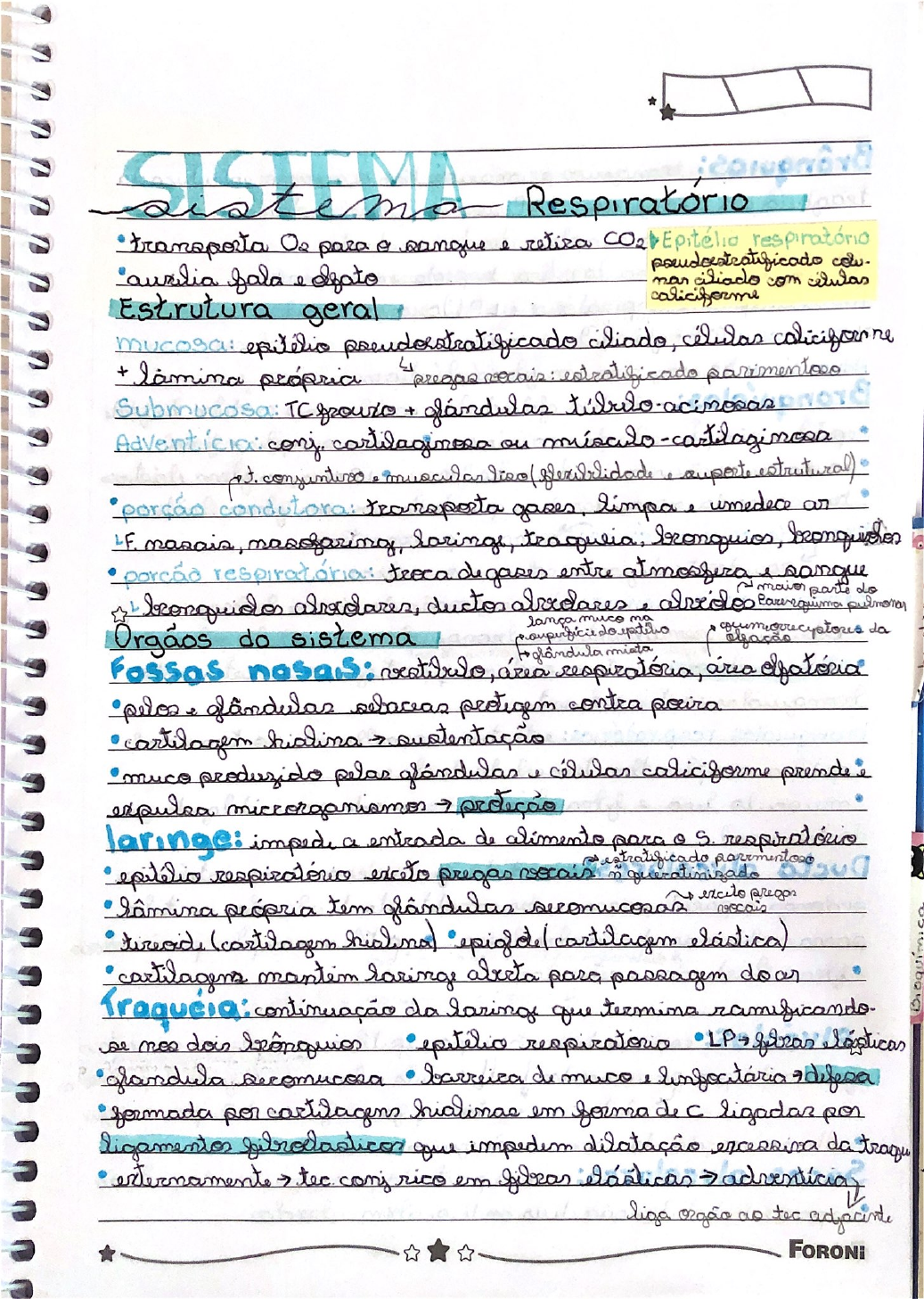 Sistema Respiratorio Histologia I