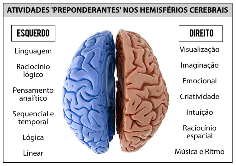 Atividades Preponderantes nos Hemisférios Cerebrais - Ciencia
