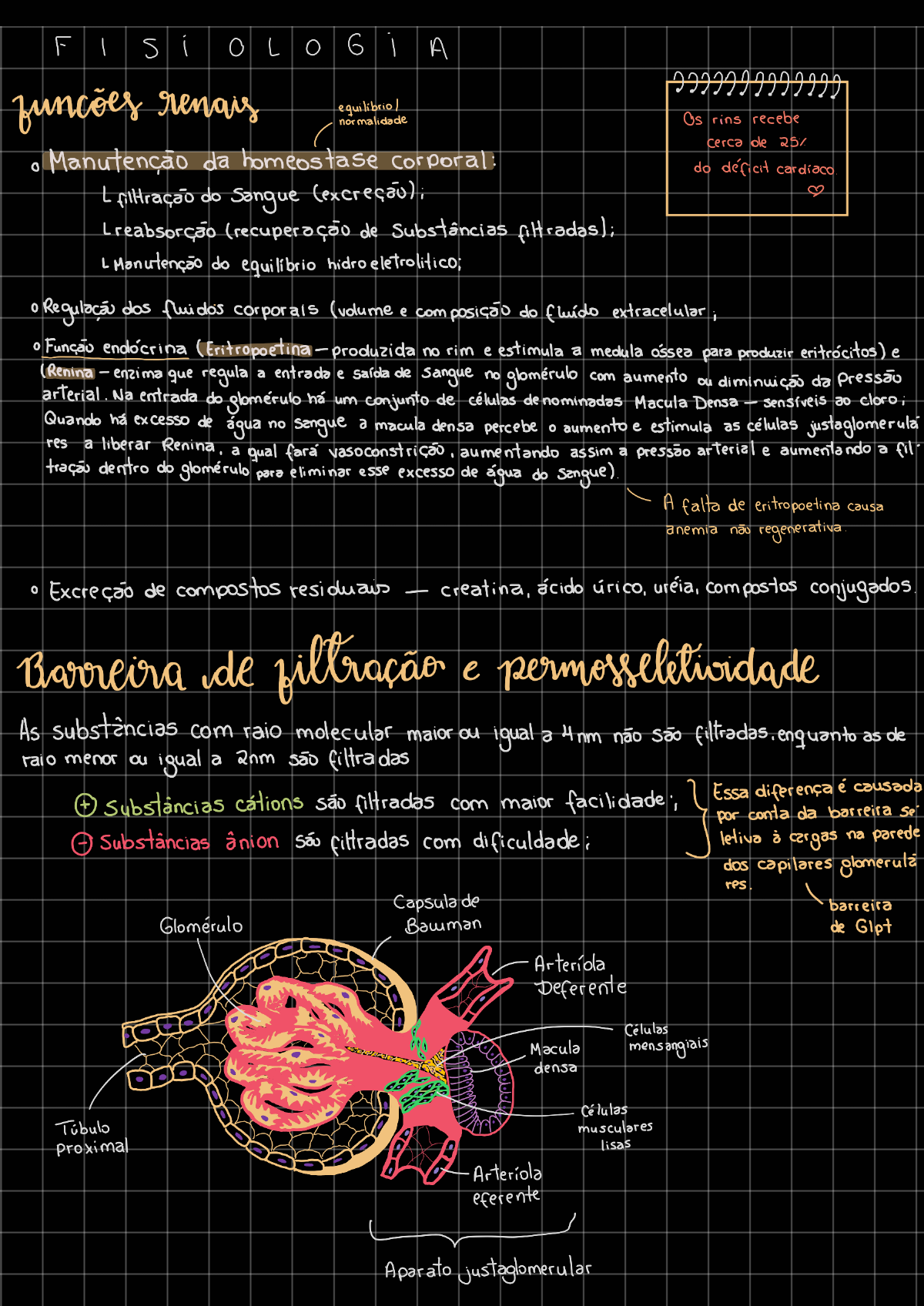 Fisiologia Renal Fisiologia I