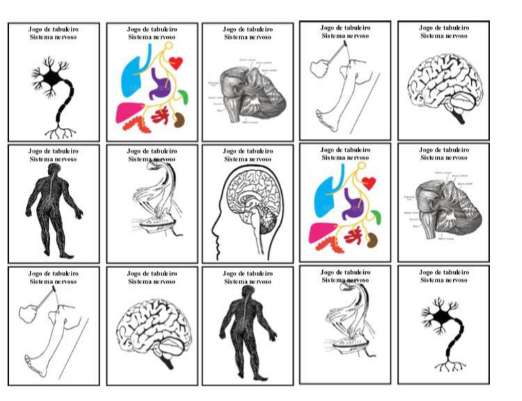Jogo de Tabuleiro: Trilha do sistema nervoso - Lojinha de Atividades