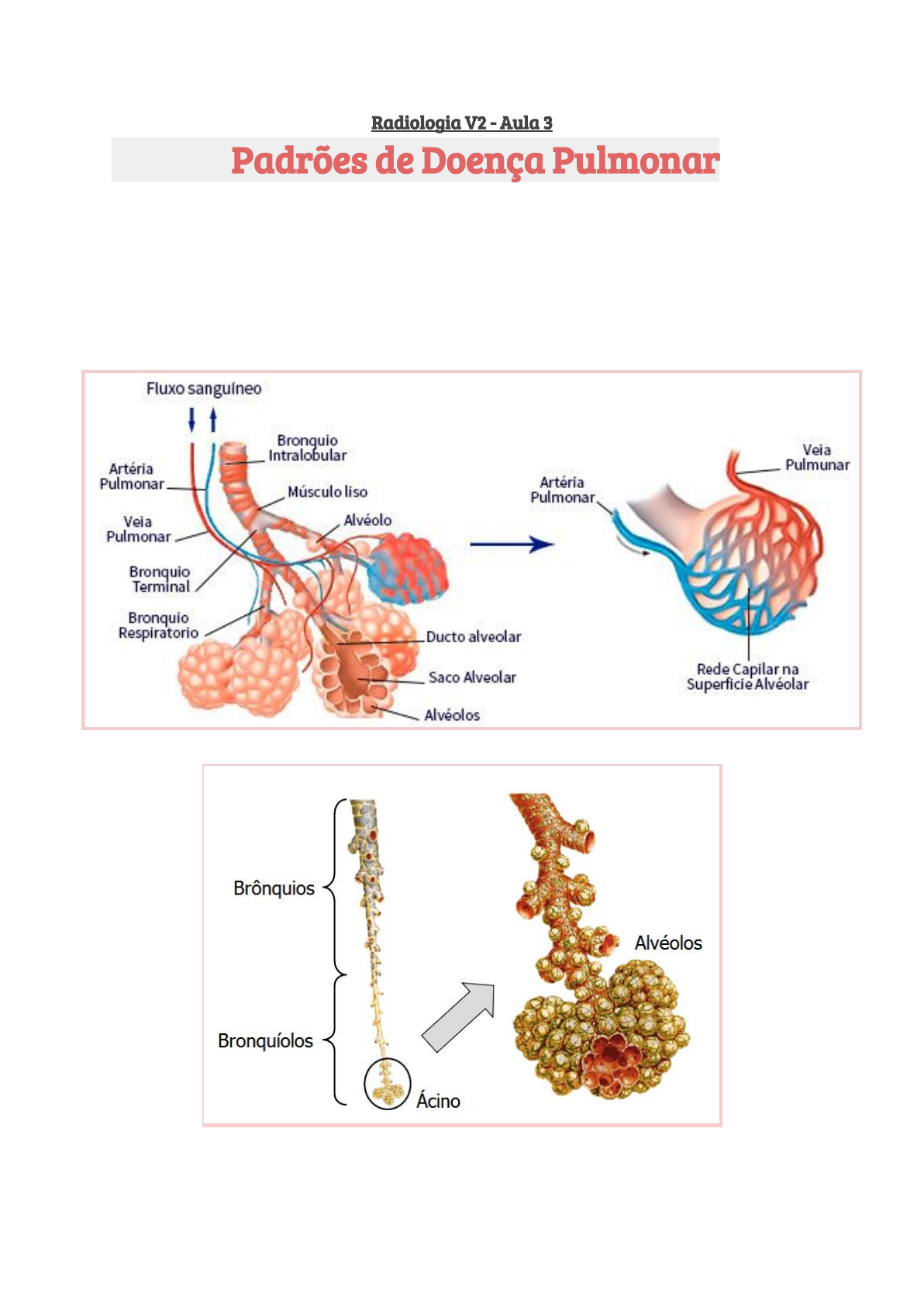 Resumo De Radiologia Doença Pulmonar - Radiologia