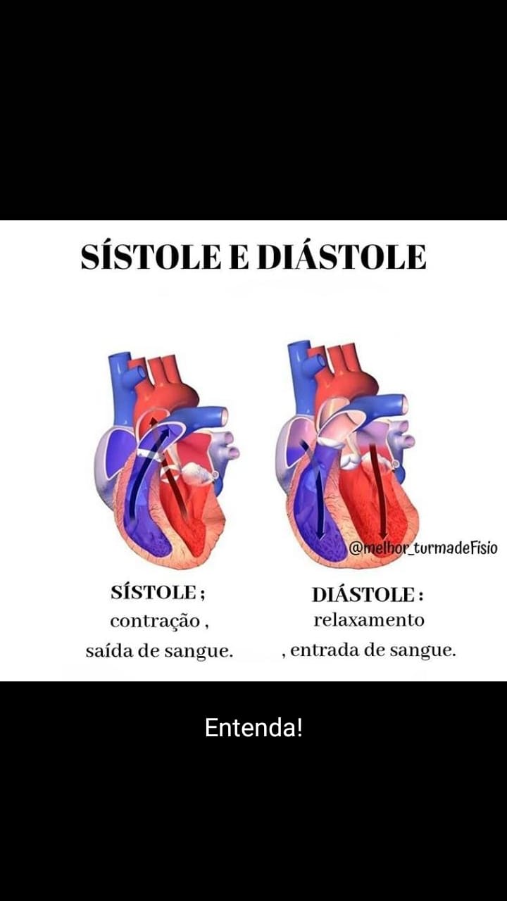 Sistole e Diastole - Sistema Cardiovascular