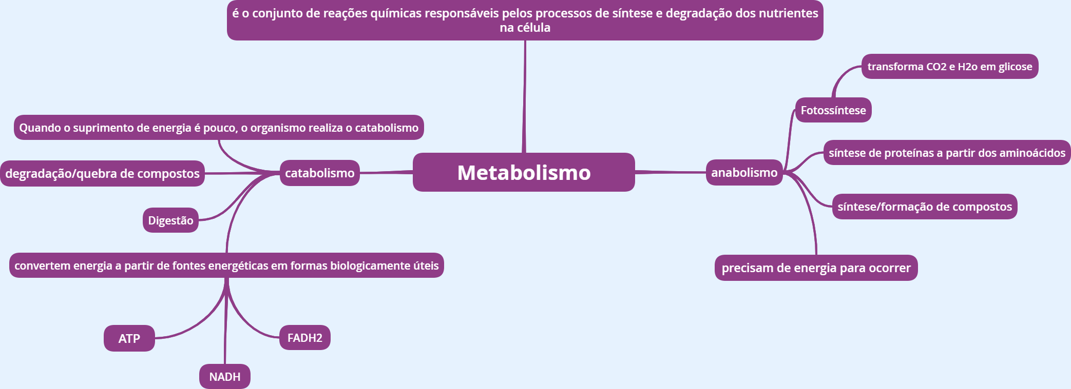 Mapa mental - metabolismo - Bioquímica I