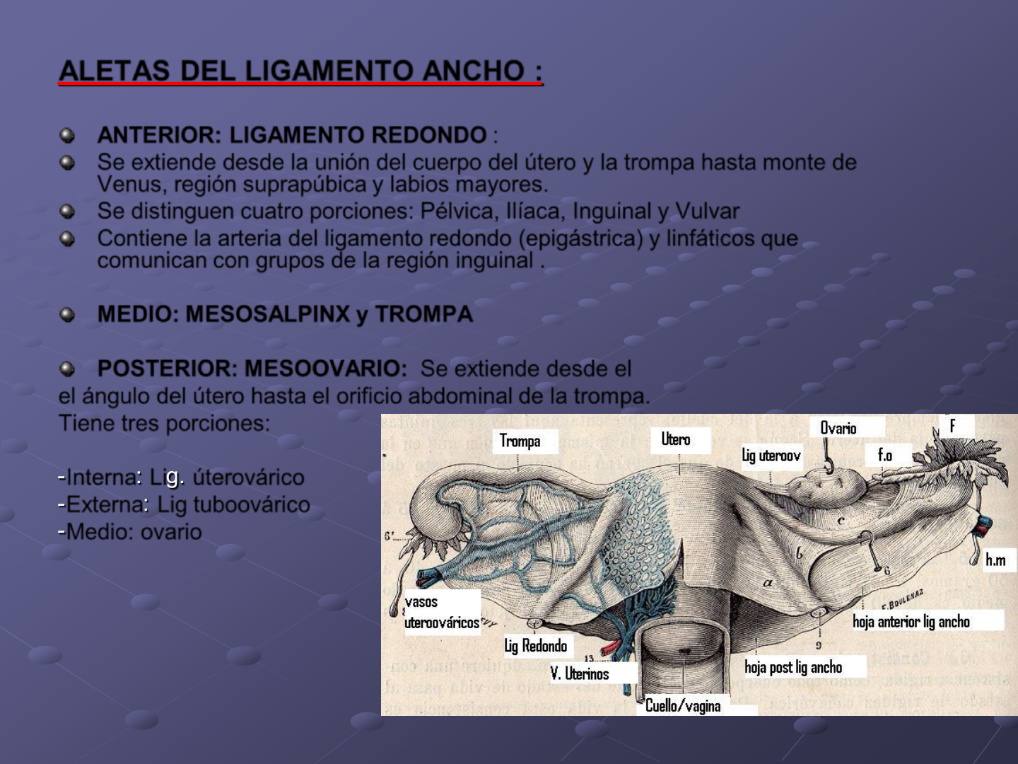 ligamento redondo del útero