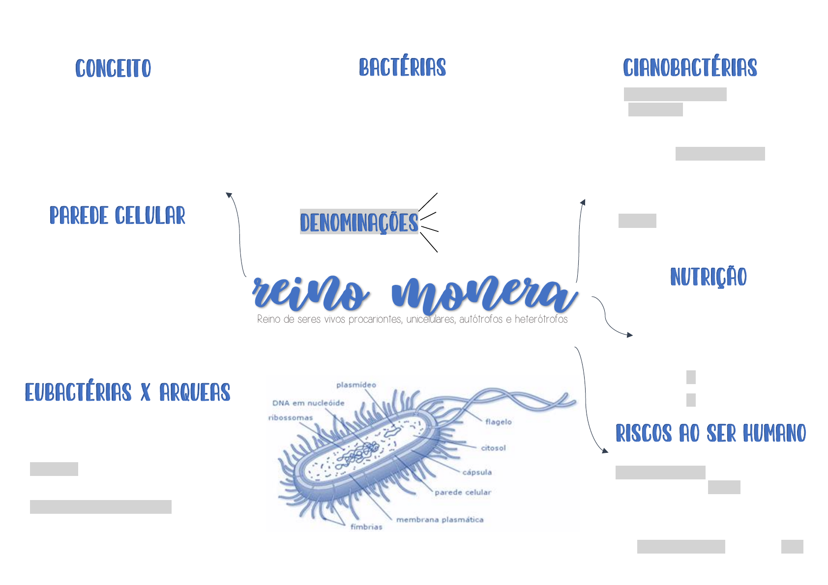 Grátis: Mapa Mental Reino Monera - Material Claro e Objetivo em PDF para  Estudo Rápido