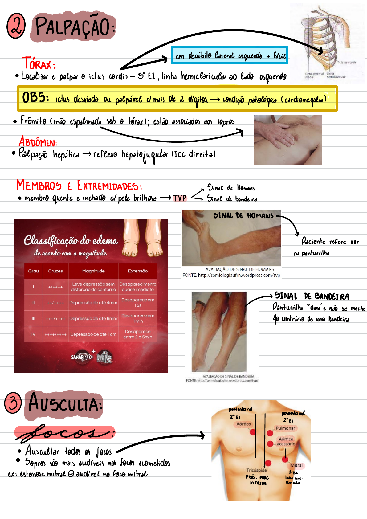 Anamnese Ham III 03-08 - Semiologia Médica