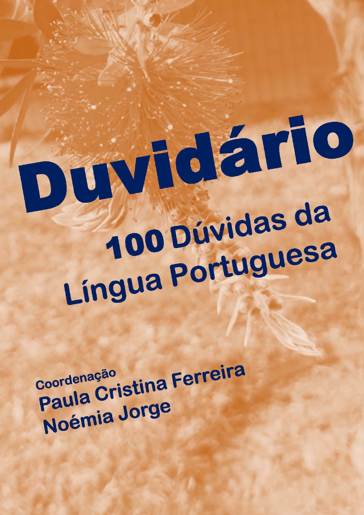 Aberturas - Ciberdúvidas da Língua Portuguesa