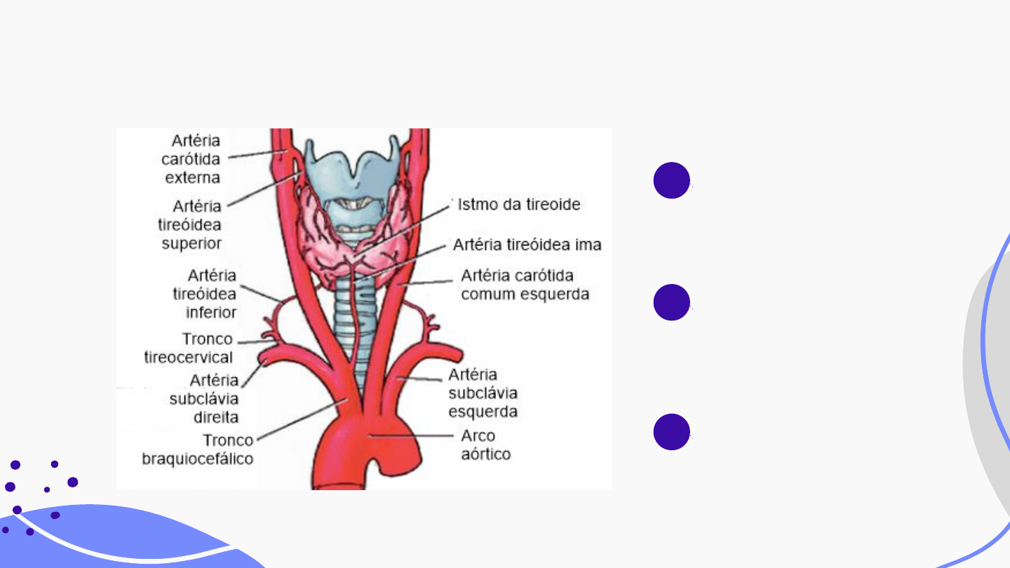 Grátis: Anatomia da tireoide - Material Claro e Objetivo em PDF para Estudo  Rápido, image size:1440x810