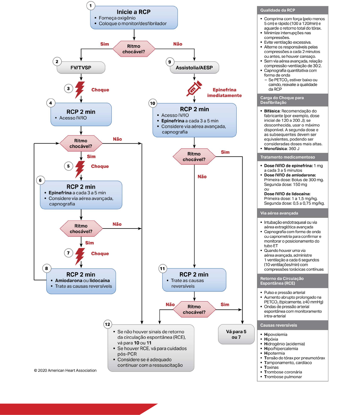 Algoritmo PCR Adulto 2020 Emergencia E Urgencia   Bg1 