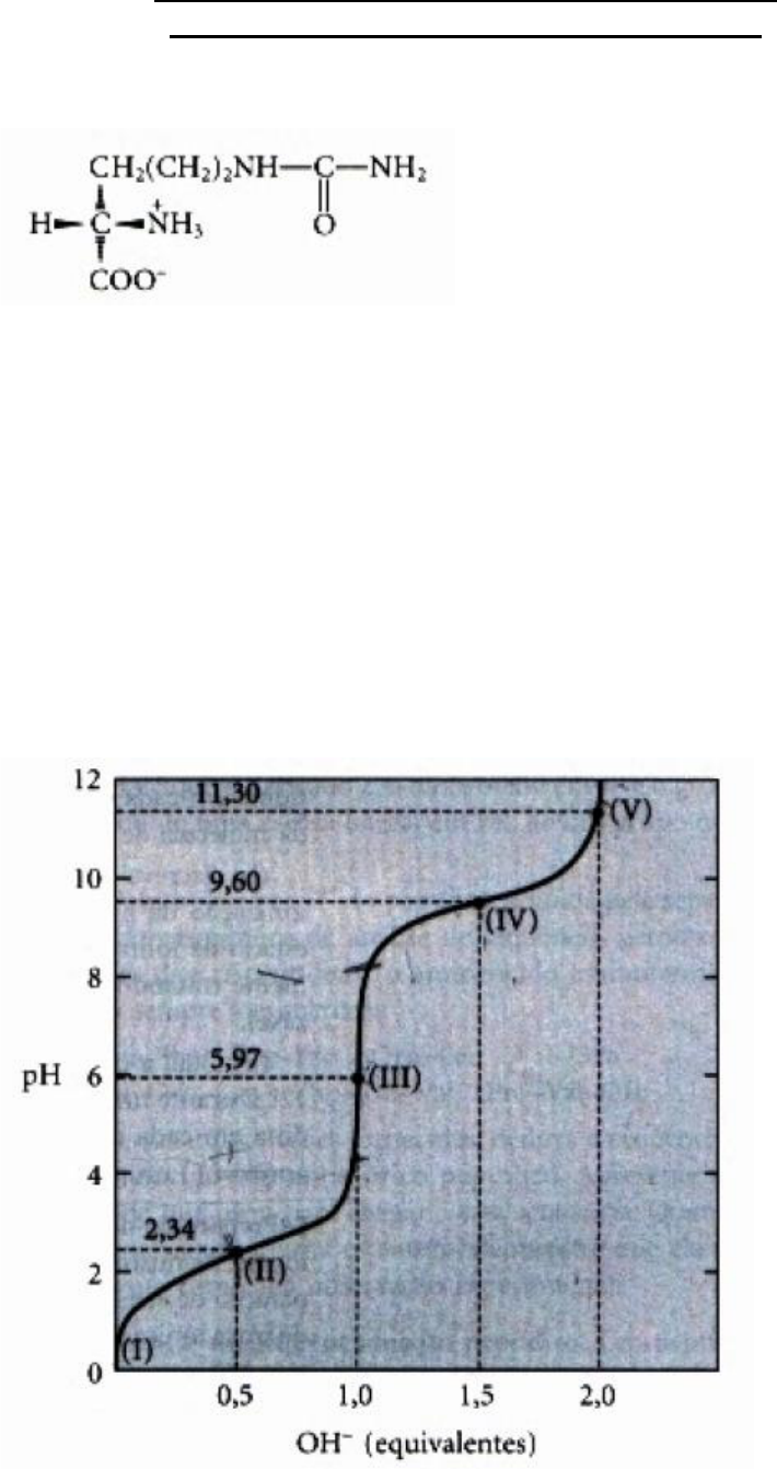 Grátis: Estudo da fisiologia - Material Claro e Objetivo em PDF para Estudo  Rápido, image size:710x1342