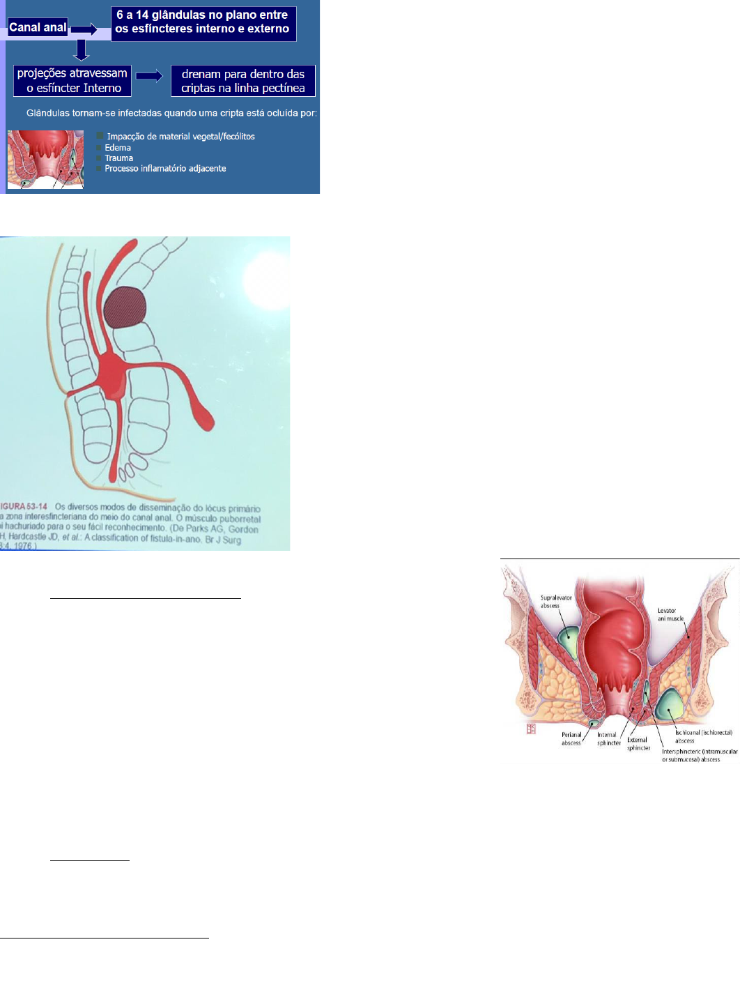 13-P2 - 5 Afecções cirúrgicas de reto e ânus - Cirurgia