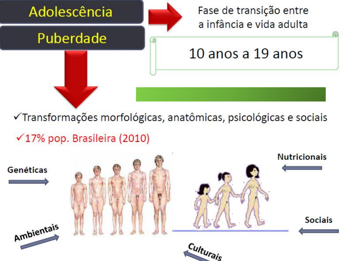 Grátis: T4 - ADOLESCENTE - Material Claro e Objetivo em PDF para Estudo  Rápido, image size:1440x1080