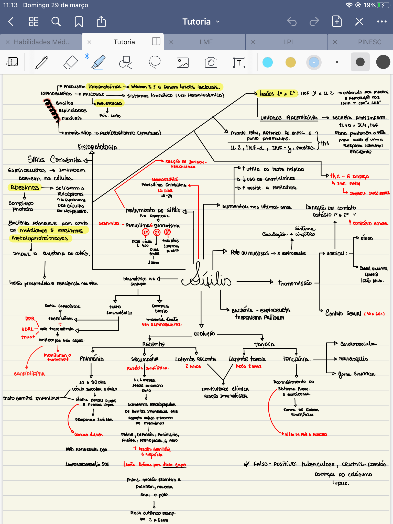 Mapa Mental - sífilis - Patologia I