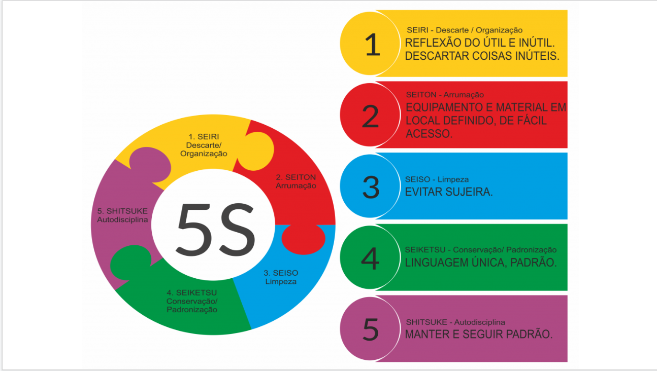 5s ci ncias sociais