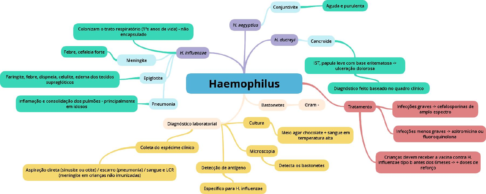 Como Fazer Um Mapa Mental De Microbiologia Mapa Meta - vrogue.co