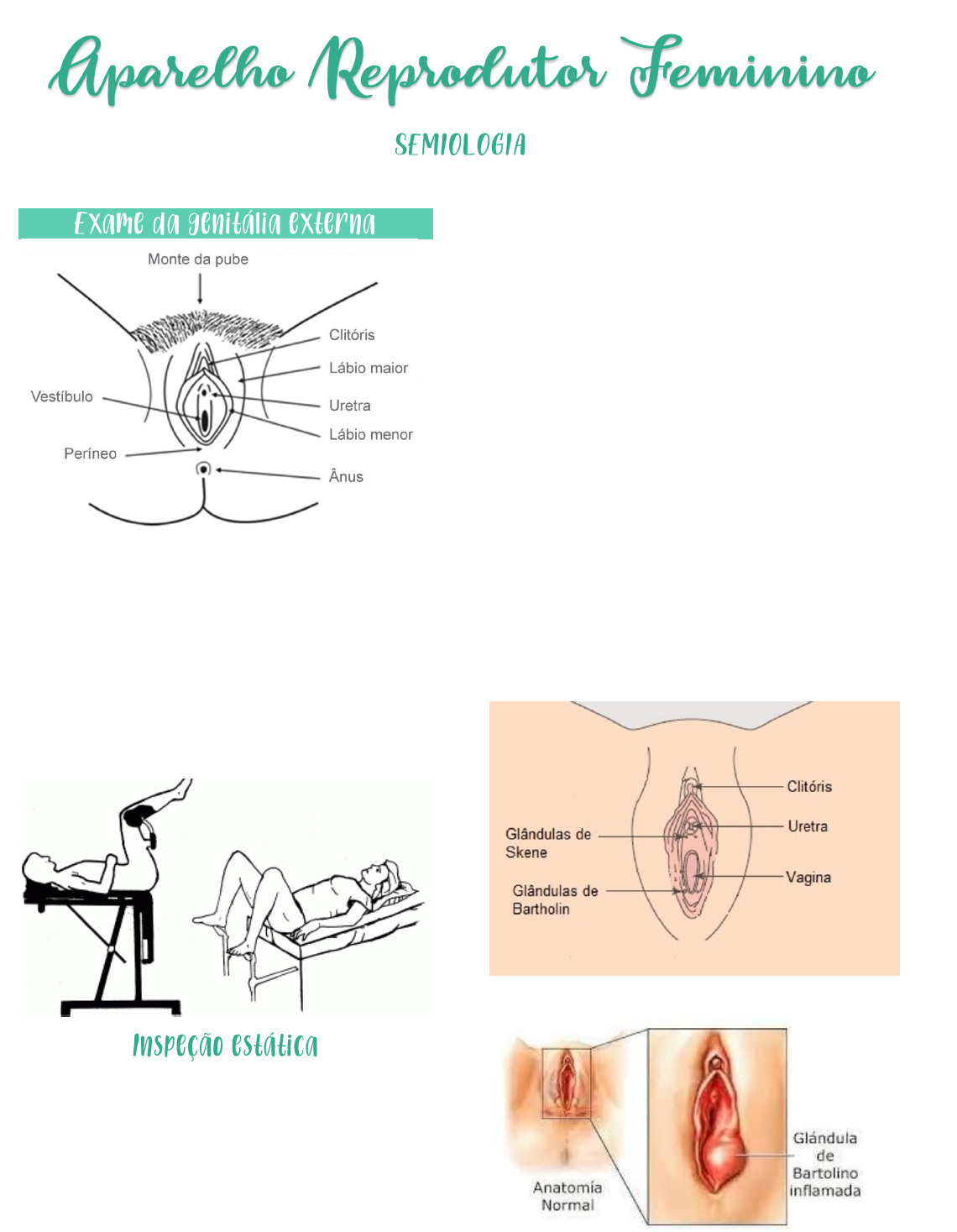 Aparelho Reprodutor Feminino - Semiologia - Semiologia Médica