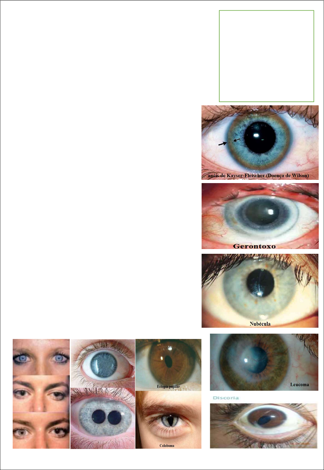 Doença de Wilson | PDF | Mutação | Gene, image size:1095x1589