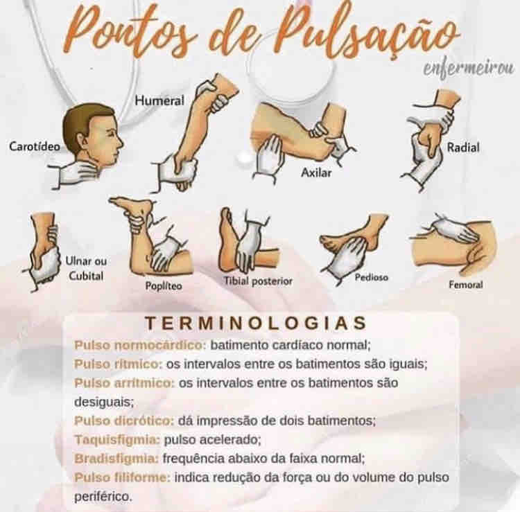 pontos de pulsação - Enfermagem