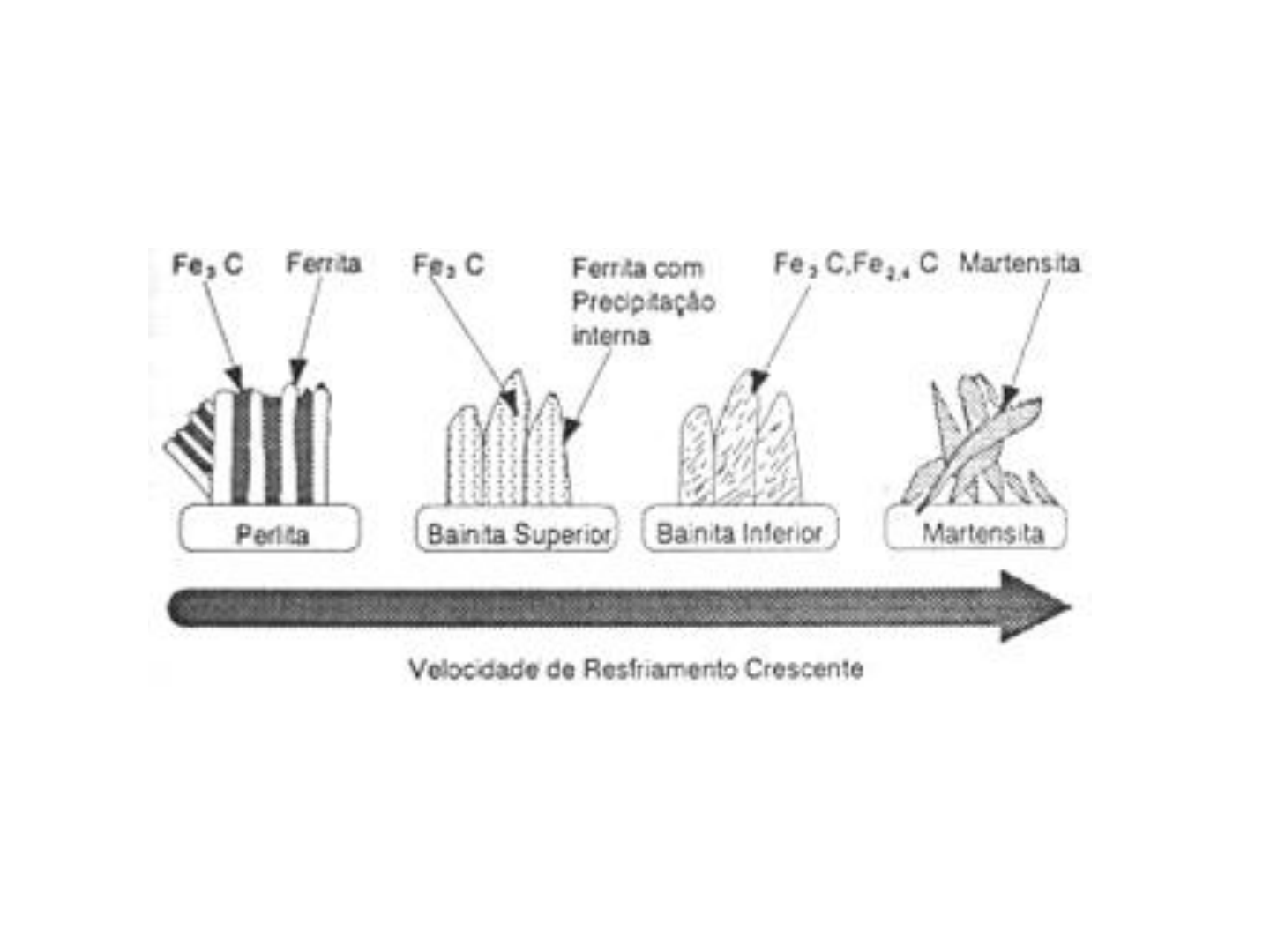 Artículo Regular CARACTERIZAÇÃO MICROESTRUTURAL DE AÇOS BAIXO CARBONO POR  MICROSCOPIA DE FORÇA ATÔMICA RESUMO MICROSTRUCTU, image size:1440x1080
