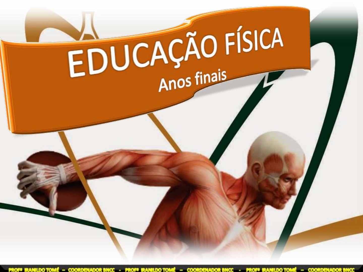 EDUCAÇÃO FISICA ANOS FINAIS