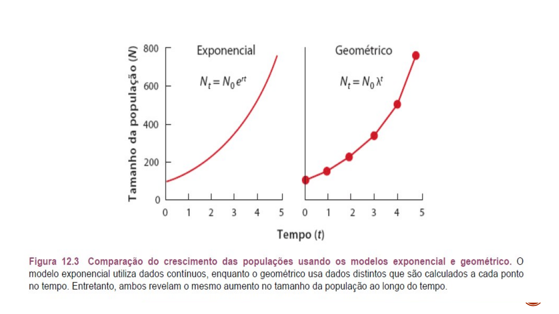Grátis: Crescimento Populacional e Regulação - Material Claro e Objetivo em  PDF para Estudo Rápido, image size:1920x1080