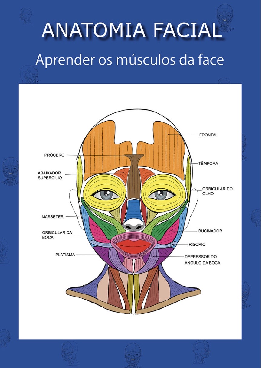 Anatomia Facial - Anatomia I