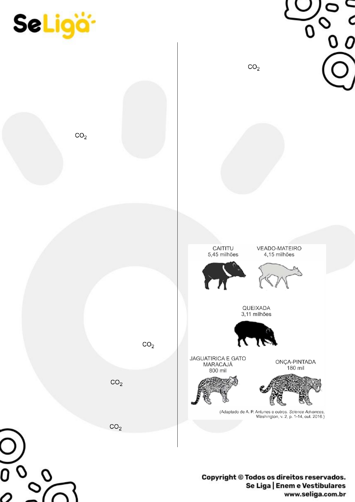 Ecologia - Desequilíbrios Ambientais - Eutrofização e Consequências -  [Médio] - [26 Questões] - Biologia