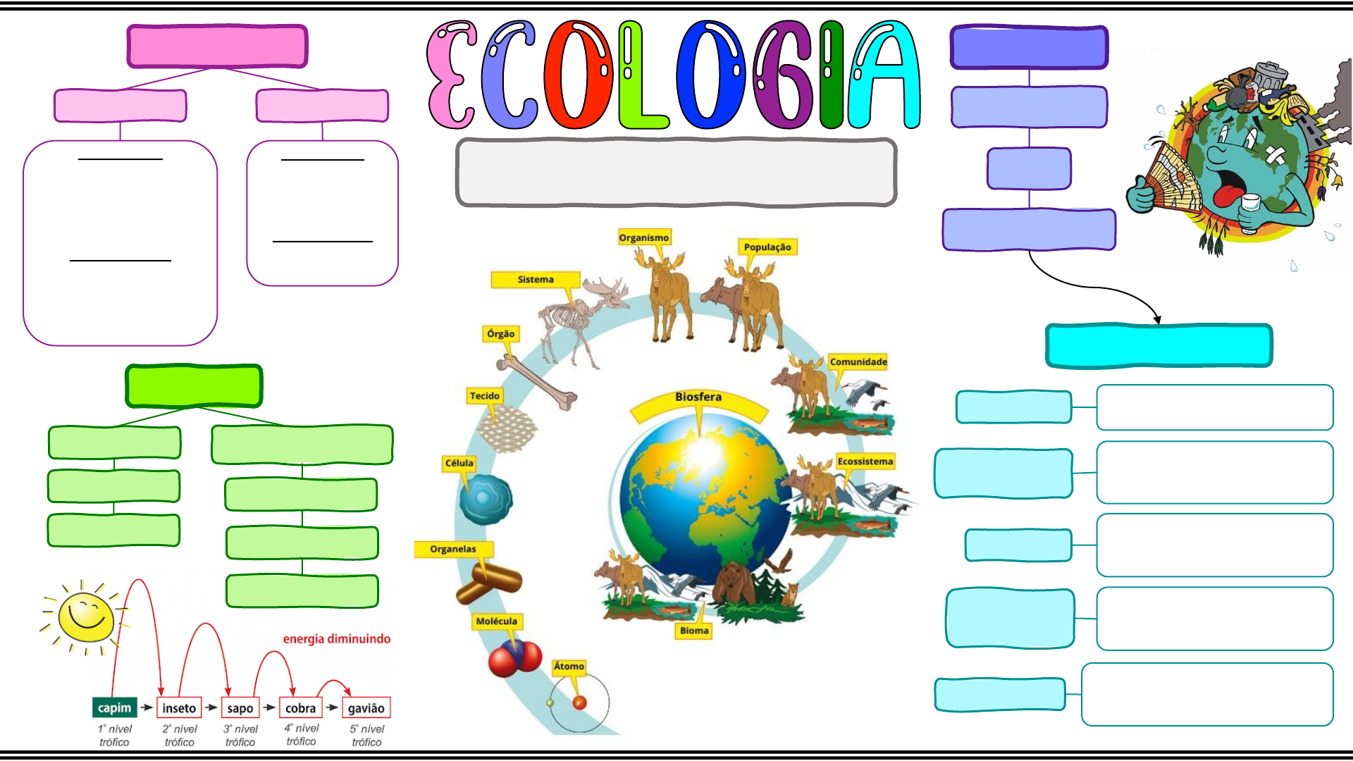 Mapa mental Resumo Ecologia Relações Ecológicas Biosfera Meio ambiente  Problemas ambientais - Ecologia