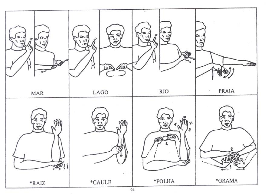 Natureza Educa O Inclusiva E L Ngua Brasileira De Sinais Libras