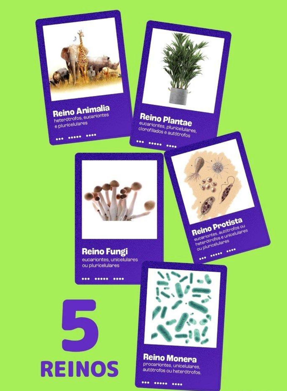 Grátis: CLASSIFICAÇÃO DOS SERES EM 5 REINOS ANIMAL VEGETAL PROTISTA FUNGI -  MONERA - Material Claro e Objetivo em PDF para Estudo Rápido