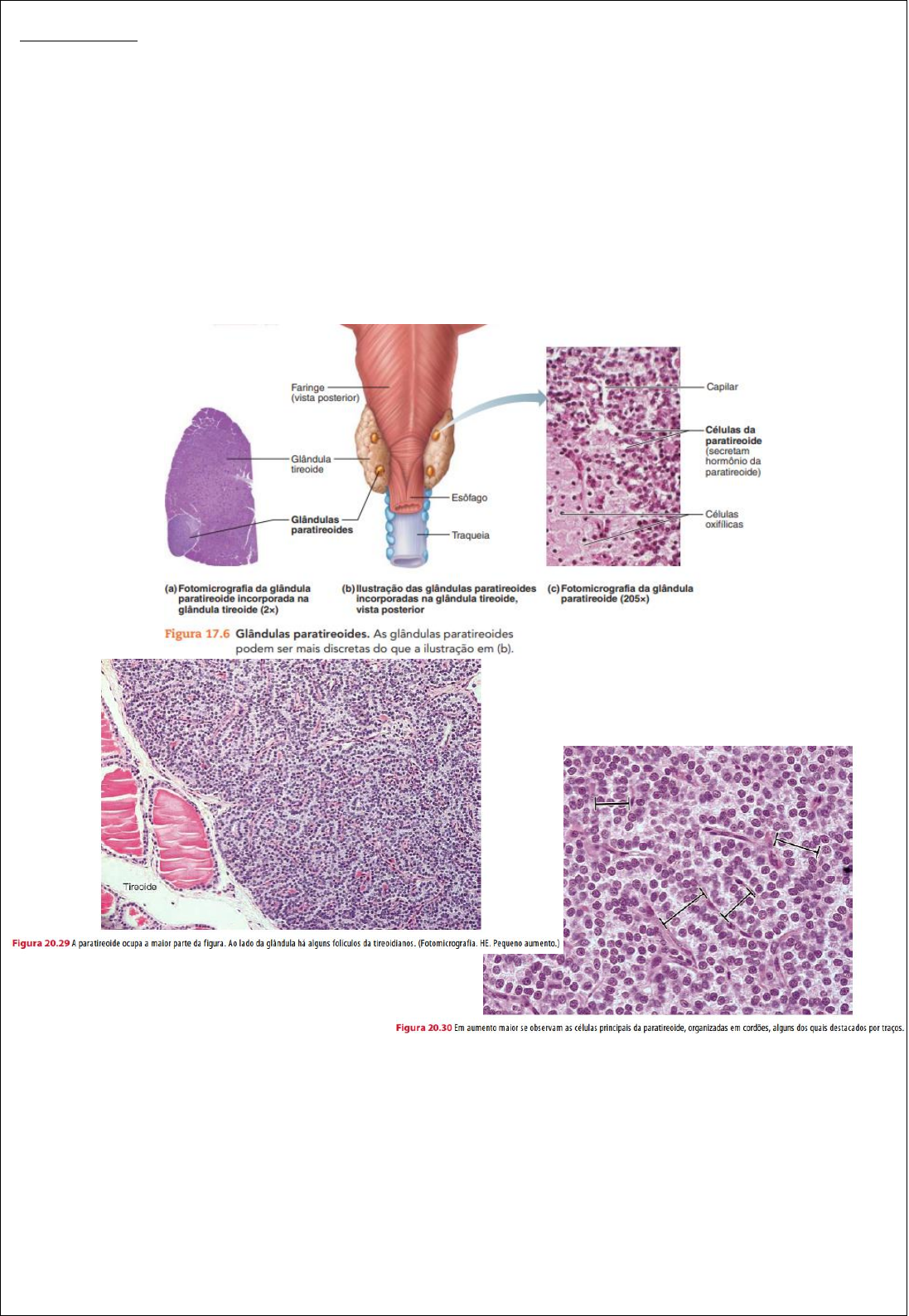 Câncer De Tireoide Pixel Perfeito ícone De Cor Rgb Vetor De Diagnóstico De  Doença Da Tireoide PNG , Tireoide, Doença, Diagnóstico Ilustração Imagem em  Pngtree, Royalty Free, image size:1097x1588