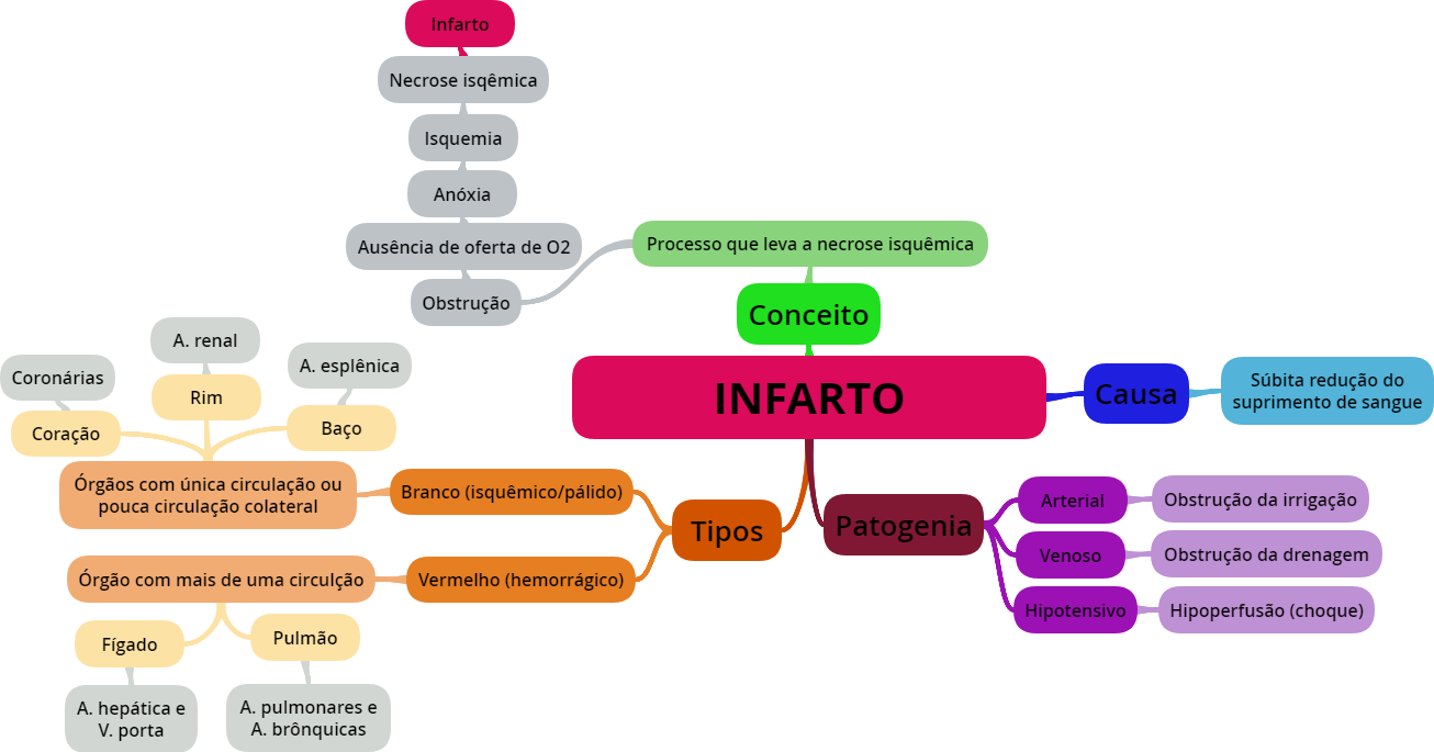 Mapa mental INFARTO - Patologia I