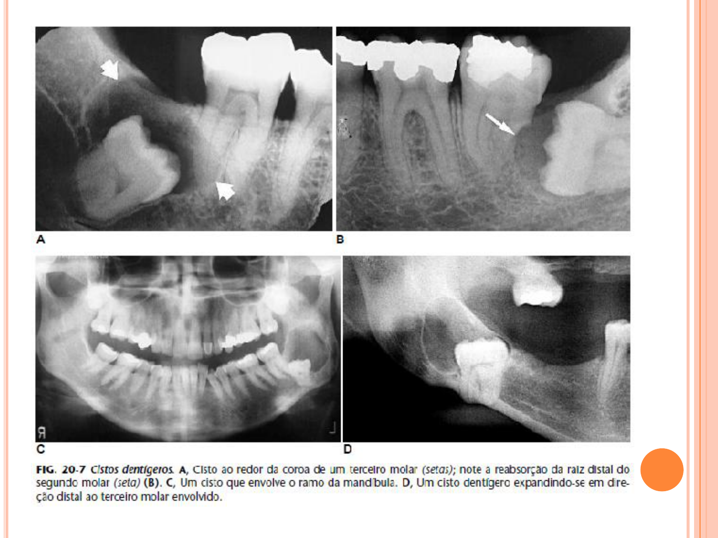 BRASILEIRO, image size:1440x1080