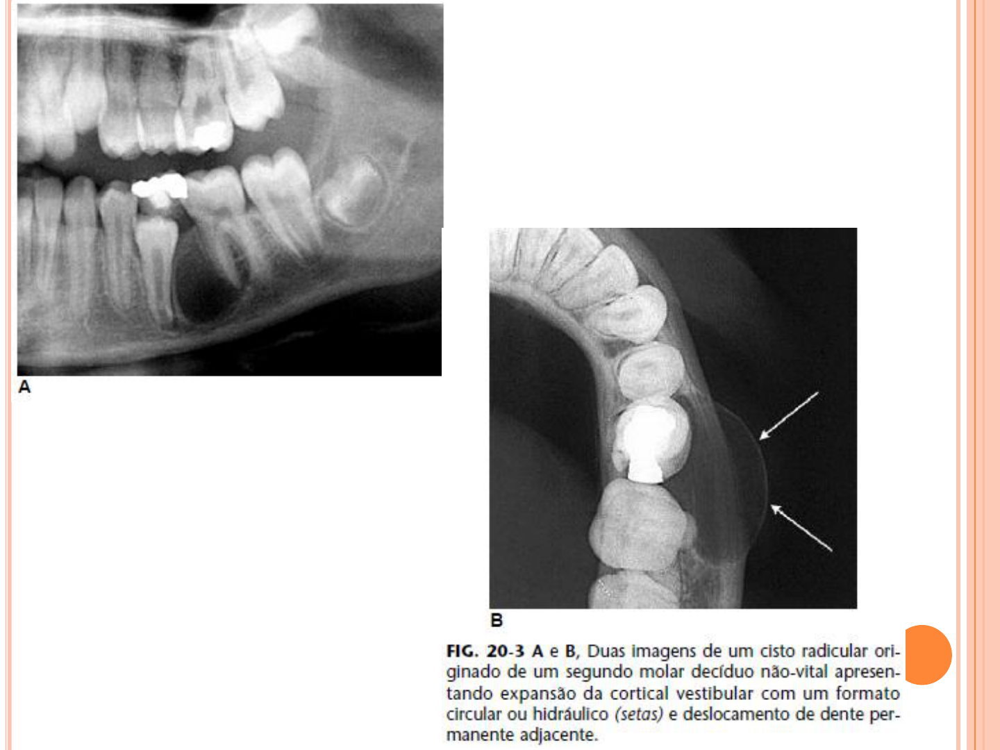 Anais do 42º Congresso Brasileiro da Anclivepa, image size:1440x1080