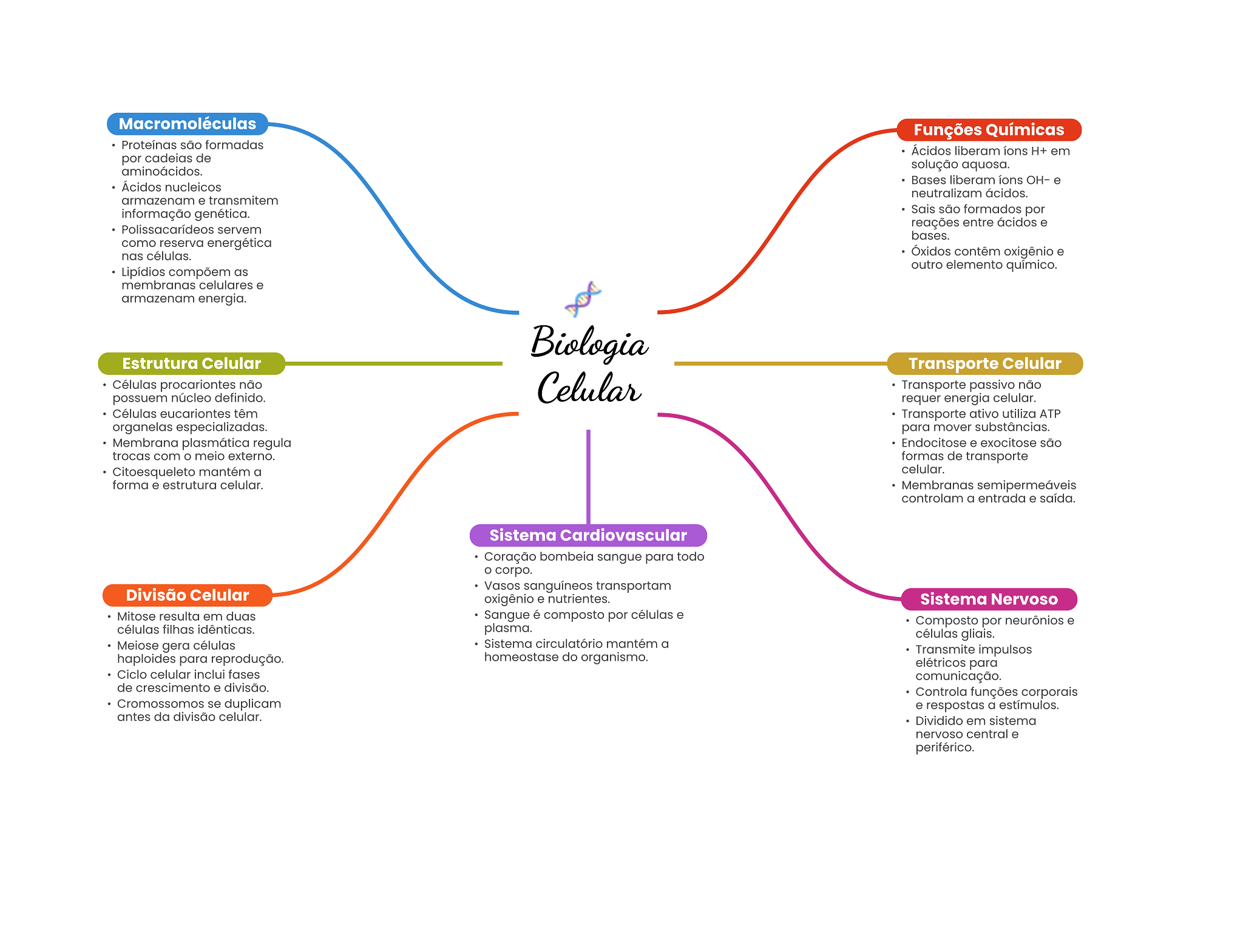 Metabolismo: definição, tipos, processos e características, image size:2048x1569