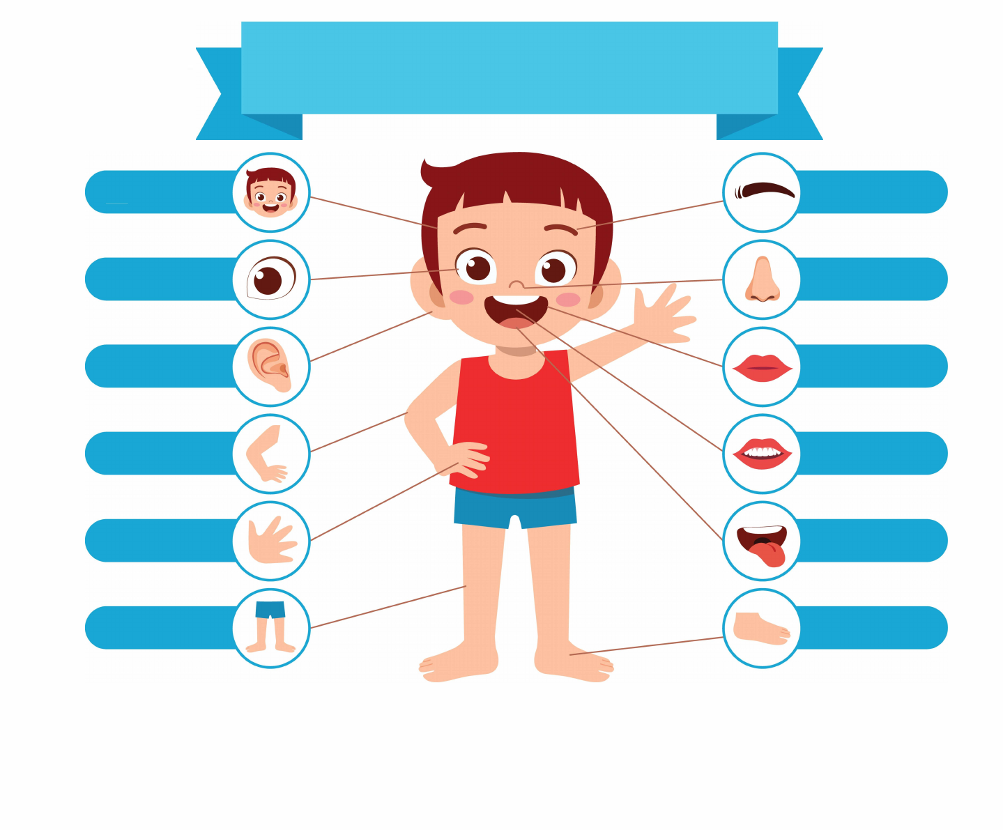 Grátis: Partes do Corpo Humano - Material Claro e Objetivo em PDF para  Estudo Rápido, image size:1439x1191
