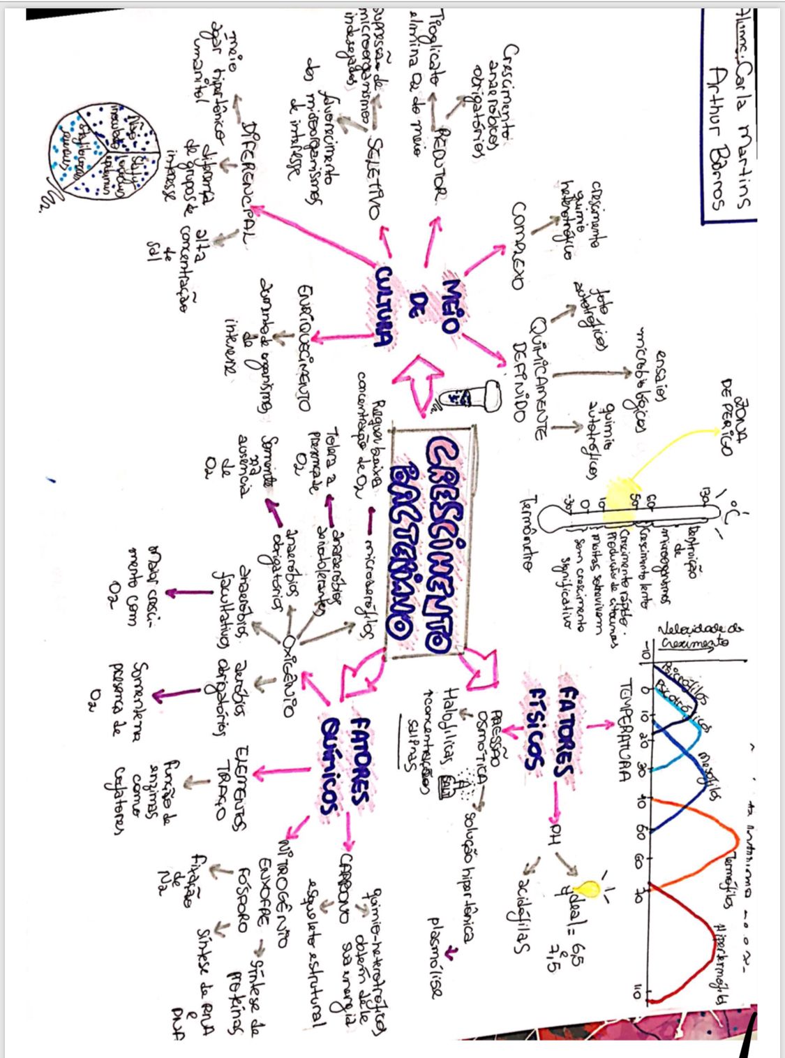 Mapa mental - exemplo - Microbiologia Geral