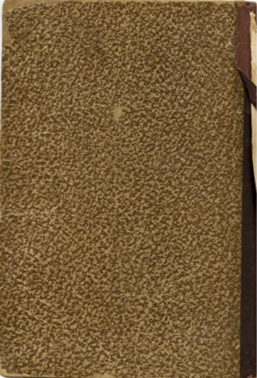 MANUSCRITOSDOMESTREVICENTEFERREIRAPASTINHA Capoeira