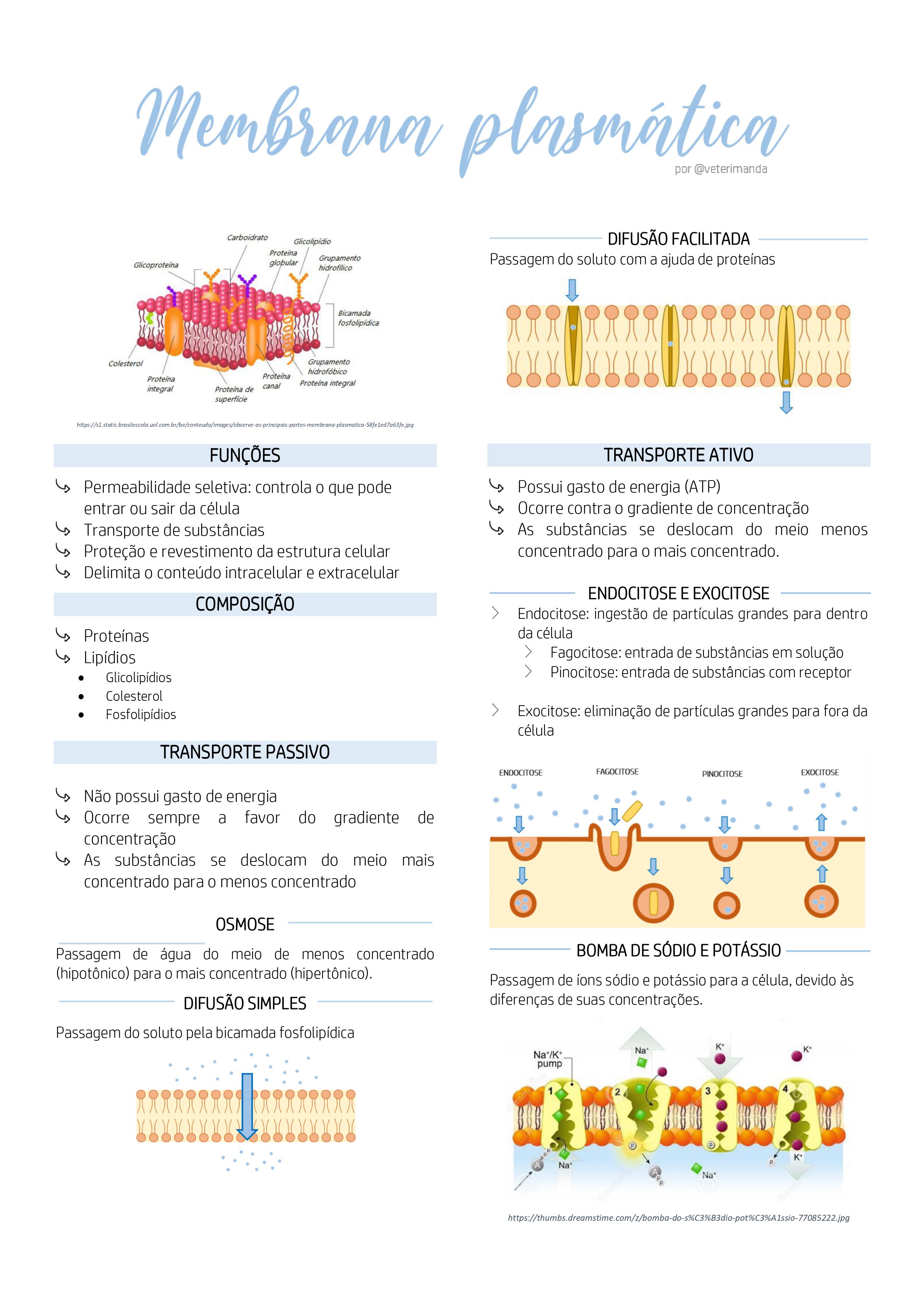 Resumo Membrana Plasmática Bioquímica I 9200