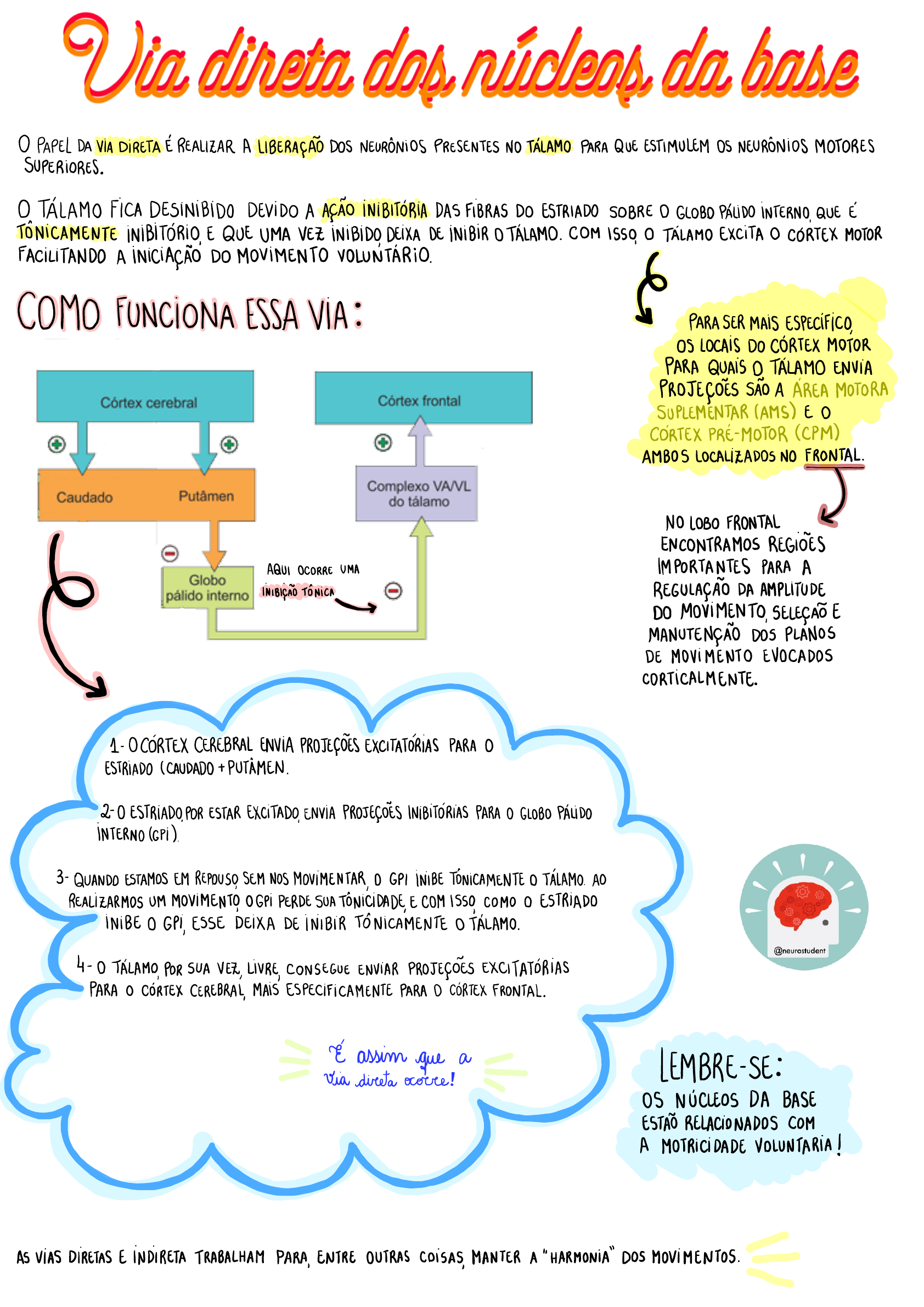 MAPA MENTAL - VIA DIRETA DOS NÚCLEOS DA BASE - Neurologia