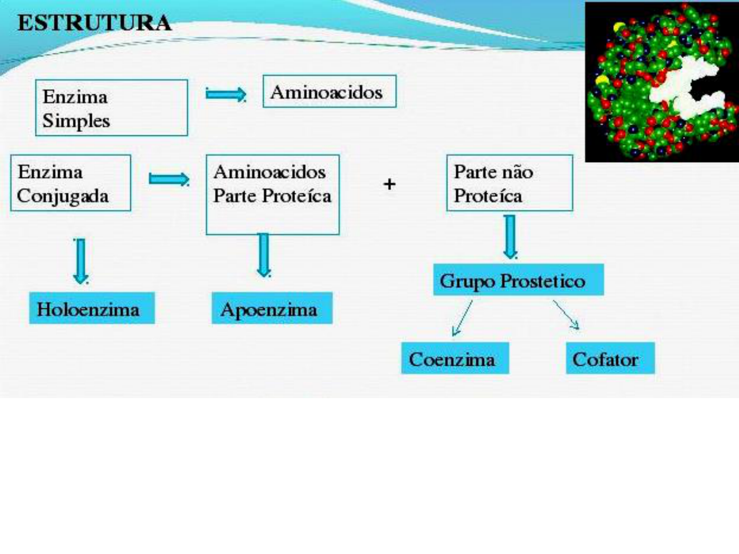 Curso de Aplicação de Enzimas online, gratuito e do seu jeito na Elevify, image size:1440x1080