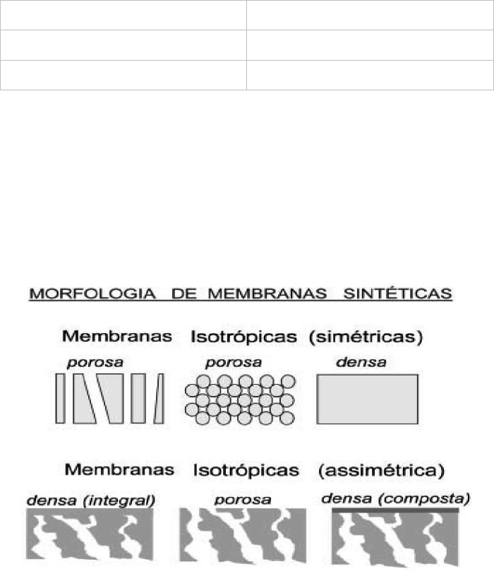 Membranas (A) simétricas (isotrópica) e assimétricas (anisotrópica).