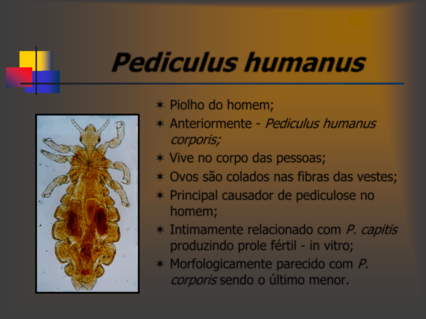 Grátis: ArthropodaS DE INTESRESSE MEDICO I - Material Claro e Objetivo em  PDF para Estudo Rápido